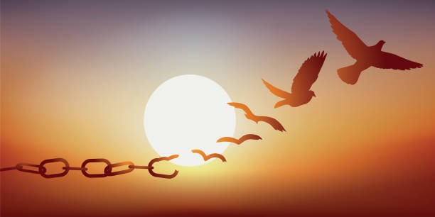 332329164_521000956845070_4205657478899996775_n Femme qui se sent libre dans la nature